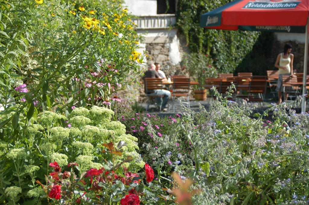 Pension Zum Hirsch Göda Exteriér fotografie